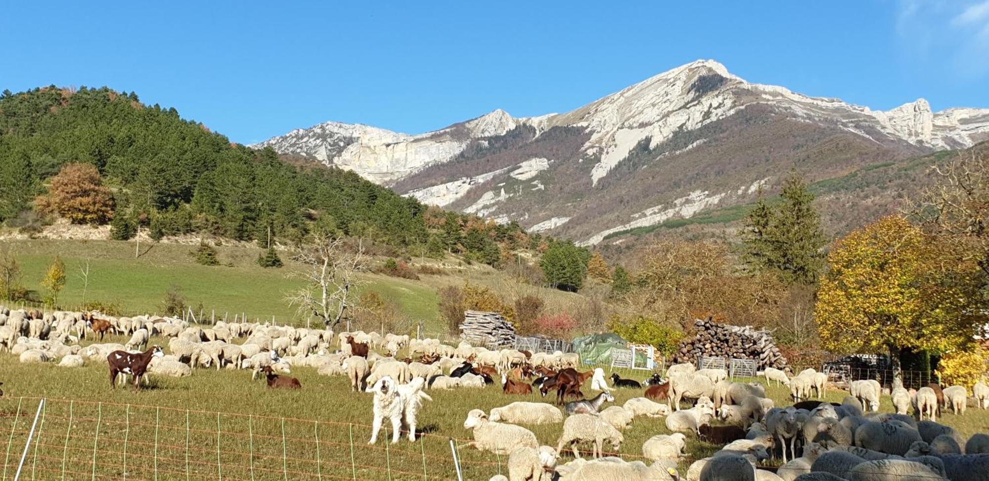 Maison De Village Aux Portes Du Vercors Chamaloc 外观 照片